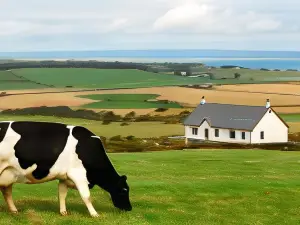 Kirkbride Farm Holiday Cottages
