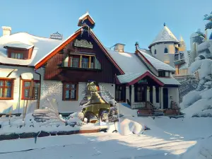 Pensjonat Wiking