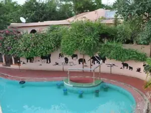 Country Club Wildlife Resort