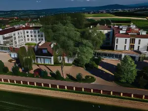 Hotel Radocza Park Business