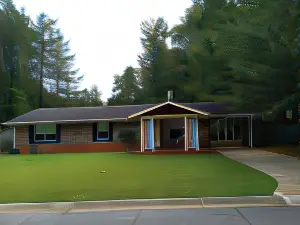Modern Suburban Ranch