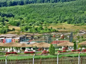 Casutele Dana