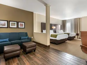 錫達拉皮茲CID東愛荷華機場舒適套房飯店