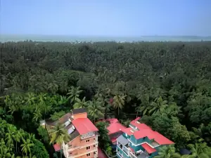 TreeHouse Nova