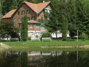 Sebesvi­z Panzio