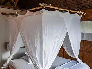 Casa Nemo Beach Resort & Spa