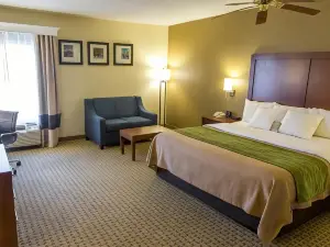 Comfort Inn Hammond