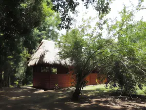 Hacienda Herrera Tambopata
