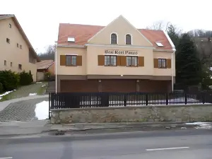 Bozi Rozi Panzio