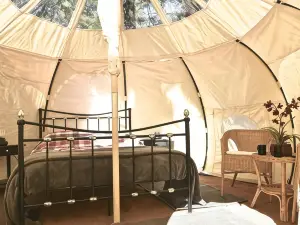 Glamping at Camping la Source