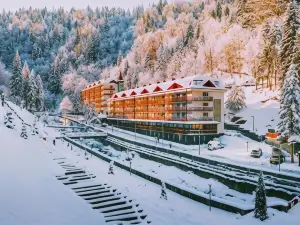 Sairme Hotels & Resorts