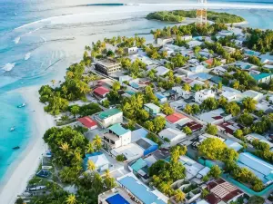 시즌 파라다이스