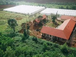 Todo Farm - Organic Farming & Retreat