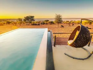 Bagatelle Kalahari Game Ranch