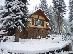 Alpen Way Chalet Mountain Lodge