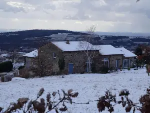 Le Grand Noé
