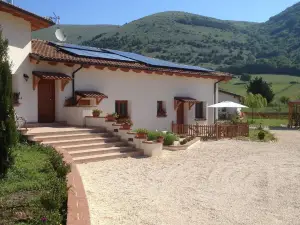 La Collina di Peppino