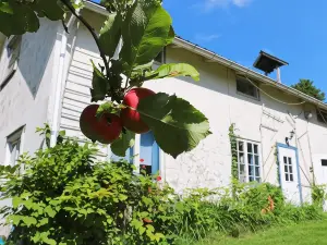 Person Holiday Home in Ostra Antervik-by Traum