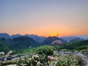 Mộc Châu Peachy Garden