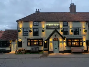 The Ivy