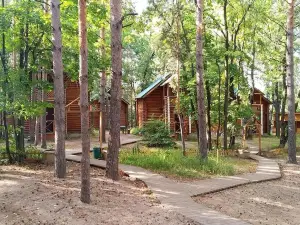 Domik V Lesu