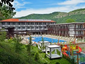 Park Hotel Asenevtsi