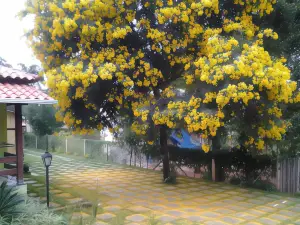 Pousada Licuri
