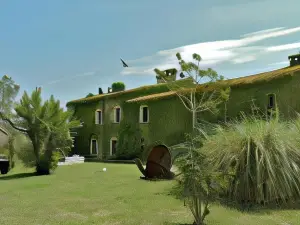 Chilliman & Mas Miró Biofarm