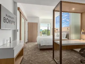 SpringHill Suites Bradenton Downtown/Riverfront