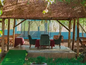 Mkomazi Hotels and Campsite