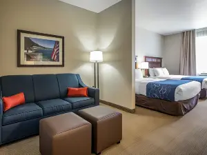 Comfort Suites Lake Geneva East