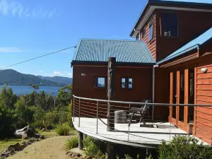 The Tree House