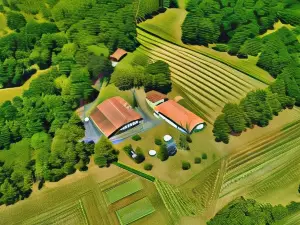 Le Domaine de Dolly