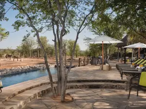 Ongava Tented Camp
