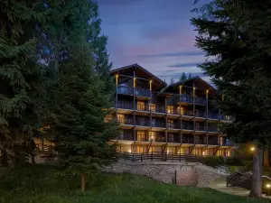 Ana Hotels Bradul Poiana Brasov