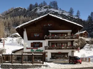 Hotel les Mélèzes