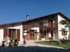 Les Arums de Sanguinet
