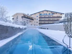 하이드포겔 마비다 첼 암 제