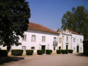Quinta da Torre