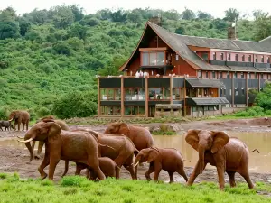 The Ark Lodge