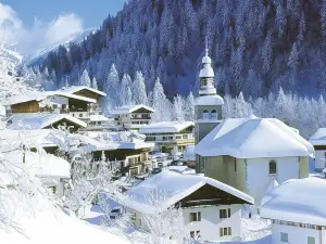 Hotel Flor'Alpes