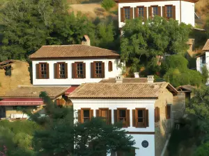 Terrace Houses 席裏恩斯- 無花果，橄欖表匠和葡萄藤