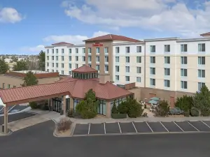 Hilton Garden Inn Denver/Highlands Ranch