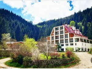 Hotel Green Valley Savsat