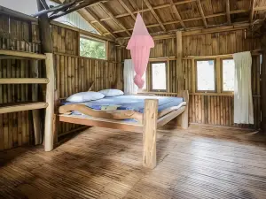 Back to Nature Ecotourism
