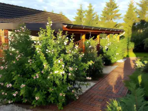 Wohnung bei Kuehlungsborn mit Garten