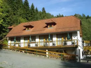 Waldhotel Pfarrmühle