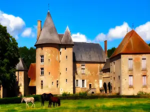 Château du Max