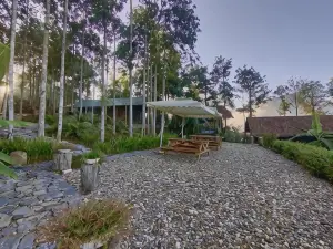 Anne House Bac Ha