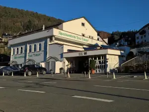 Zum Löwen Heidelberg